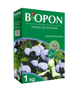 .NAWÓZ, DO BORÓWEK 1 KG                                     